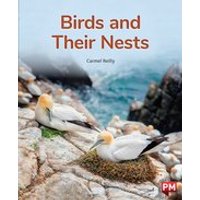 PM Orange: Birds and Their Nests (PM Non-fiction) Level 16