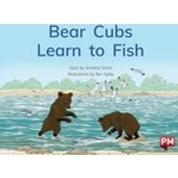 PM Green: Bear Cubs Learn to Fish (PM Storybooks) Level 14