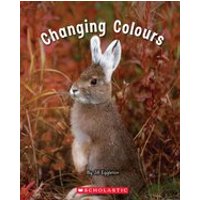 Connectors Starters: Connectors: Changing Colours (Blue Pack) 7 Book Set