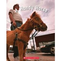 Connectors Starters: Connectors: A Handy Horse (Green Pack) 7 Book Set