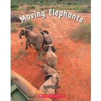 Connectors Starters: Connectors: Moving Elephants (Green Pack) 7 Book Set