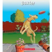 Connectors Starters: Connectors: Baxter (Orange Pack) 7 Book Set