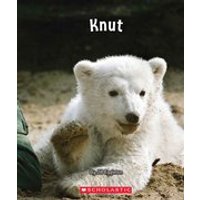 Connectors Starters: Connectors: Knut (Orange Pack) 7 Book Set