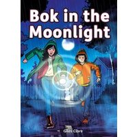 Striders Phonics Readers: Bok in the Moonlight (Set 05)