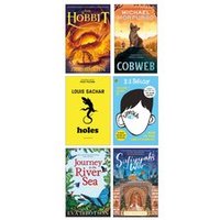 Fiction to Challenge Ages 11+ (10 Book Set)