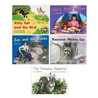 PM Red Level 3, 4, 5 Book Set A x6 (60 Books - 6 copies of 10 books)