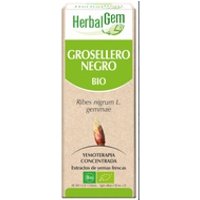 Grosellero Negro Macerado Glicerinado 50 ml - Herbalgem