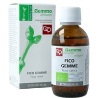 Fico Gemme (Ficus carica) 50 ml - Fitomedical