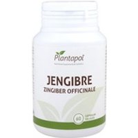 Jengibre 60 cápsulas de 600mg - Plantapol