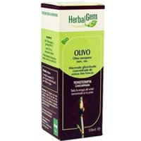 Olivo Macerado Glicerinado 50 ml - Herbalgem