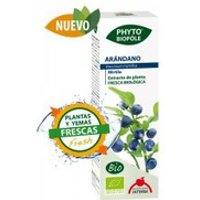 Phytobiopole Arándano (Antihemorrágico Antiséptico Urinario) 50 ml - Intersa