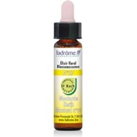 Elixir floral N ° 27 Mostaza Ecológica 10 ml de elixir floral - Ladrome