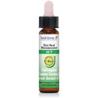 Castaño Ecológico N ° 07 10 ml de elixir floral - Ladrome