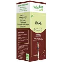 Vid Roja Macerado Glicerinado 50 ml - Herbalgem