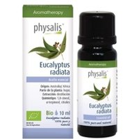 Esencia Eucalipto Radiata Bio 10 ml - Physalis | Natural Doctor