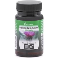 Capsudiet cardo mariano 40 cápsulas vegetales - Plameca | Natural Doctor