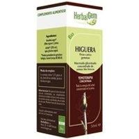 Higuera Macerado Glicerinado 50 ml - Herbalgem