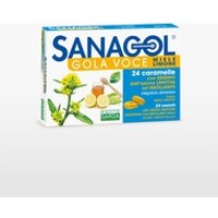 Sanagol -Garganta voz sabor a miel y limón 24 caramelos - Phyto Garda | Natural Doctor