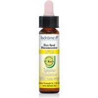 N ° 14 Rosa Mosqueta Ecológica 10 ml de elixir floral - Ladrome