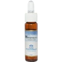FM Honeysuckle (Madreselva) estado emocional 10 ml de elixir floral - Forza Vitale
