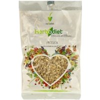 Angelica Raiz 40 gr Nova Diet | Natural Doctor