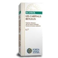 LES Carpinus Betullus vías respiratorias 50 ml - Forza Vitale