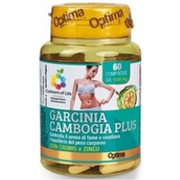 Garcinia Cambogia Plus 60 comprimidos - Colours of life