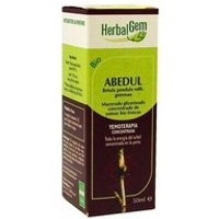 Abedul Macerado Glicerinado 50 ml - Herbalgem