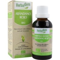 Arándano Rojo Macerado Glicerinado 50 ml - Herbalgem