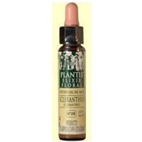 Scleranthus N° 28 Eco (Sin Alcohol) 10 ml de elixir floral - Plantis