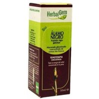 Álamo Negro Macerado Glicerinado 50 ml - Herbalgem