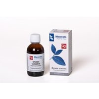 Macerado de Planta Fresca de Filipendula ulmaria 100 ml - Fitomedical
