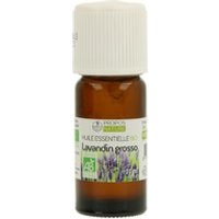 3 x Aceite esencial de lavandin Grosso 10 ml de aceite esencial - Propos Nature | Natural Doctor