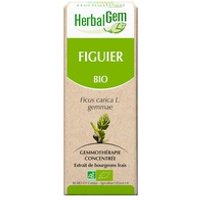 Higuera orgánica 15 ml - Herbalgem