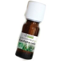 Aceite esencial de Euca Radie 10 ml de aceite esencial - Propos Nature