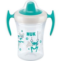 NUK Trainer Cup 230ml mit Trinktülle türkis/grau