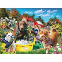Puzzle Sports d'eau SunsOut