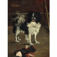 Puzzle Edouard Manet : Tama : Le Chien Japonais, 1875 Grafika