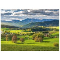 Puzzle Printemps A Povraznik Dino