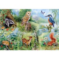 Puzzle Pièces XXL - Etude Naturelle HOP - House of Puzzles
