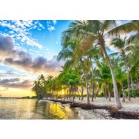 Puzzle Guadeloupe - Anse Champagne Bluebird Puzzle