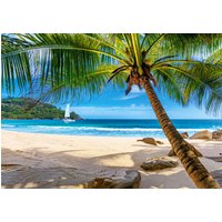 Puzzlefr Profitez de 13% de réduction sur le puzzle Vacances aux Seychelles Castorland