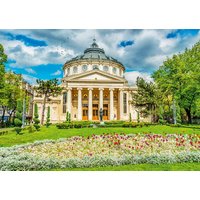Puzzle Athénée de Roumanie, Bucarest Roovi