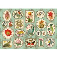 Puzzle Naturaliste Kiub