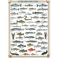 Puzzle Poissons d'eau douce Eurographics