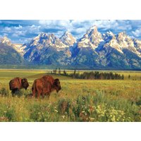 Puzzle Parc National Grand Teton Eurographics