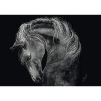 Puzzle Puissant – Le Cheval : Sous le Signe de la Force Schmidt Spiele