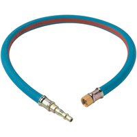 Clarke Clarke 2ft Air Line Whip Hose