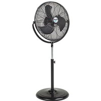 Clarke Clarke CPF18B100 18" High Velocity Pedestal Fan
