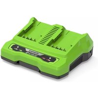 Greenworks Greenworks 24V Twin Port 4A charger